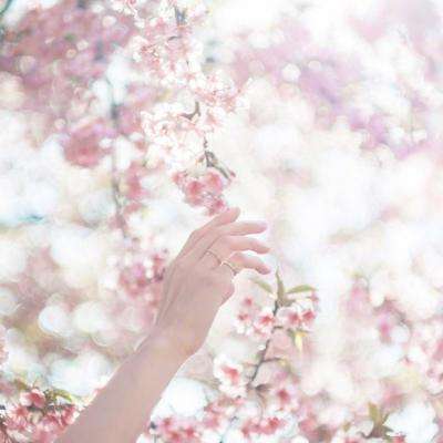 美内政部长称美国从委内瑞拉“带回”价值1亿美元黄金，引巨大争议